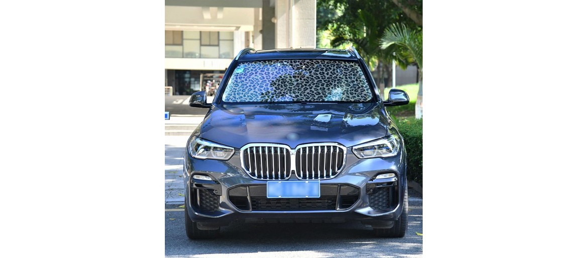 Car sun shade
